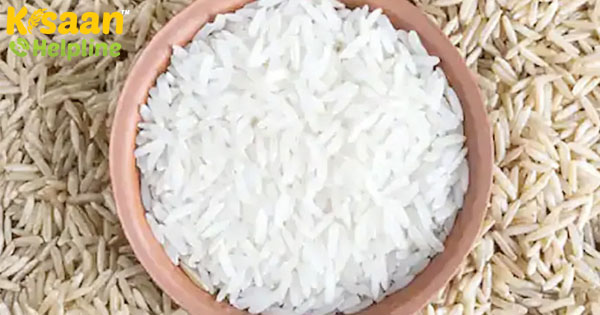 शिवराज सिंह चौहान ने एमपी के बासमती चावल के लिए जीआई टैग मांगा